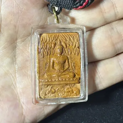 龙婆扎兰·佛陀降魔印·大鹿版·泥质（佛历2513年安帕万寺开光｜背嵌袈裟头发·仅此一件）