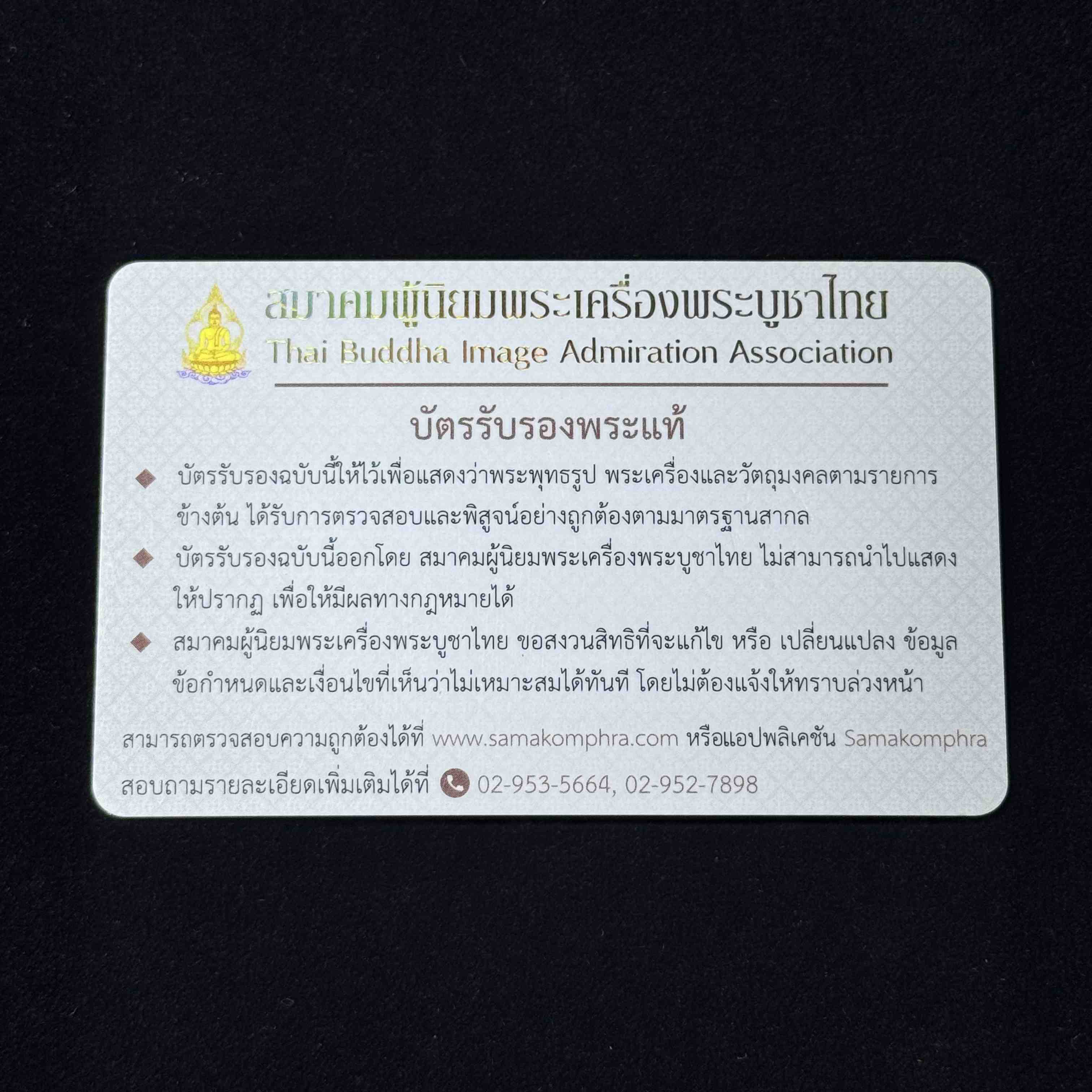 Luang Phor Liew B.E. 2536 - Ruay Ruay Ruay Wealth Turtle 6